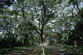 Tawa Ravadee Resort